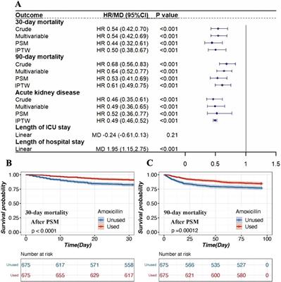 Corrigendum: Association between amoxicillin administration and outcomes in critically ill patients with acute kidney injury